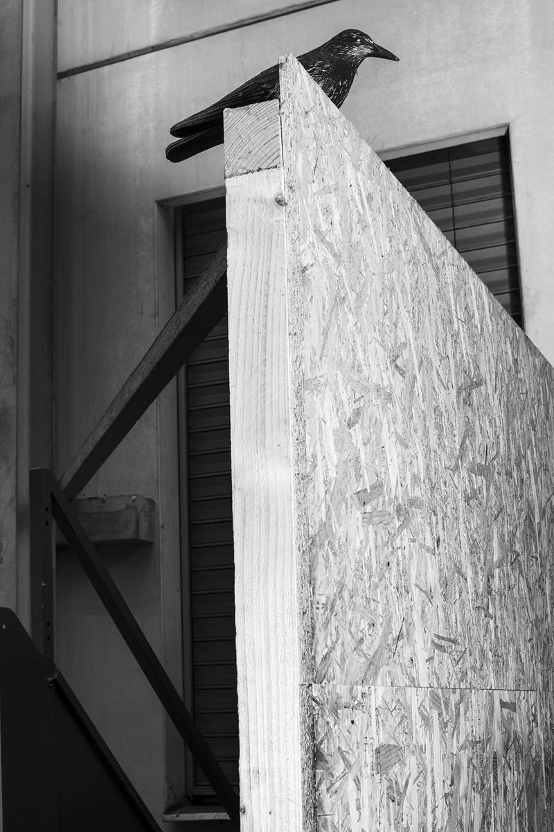 © Nicolino Sapio - Image from the SABOR photography project