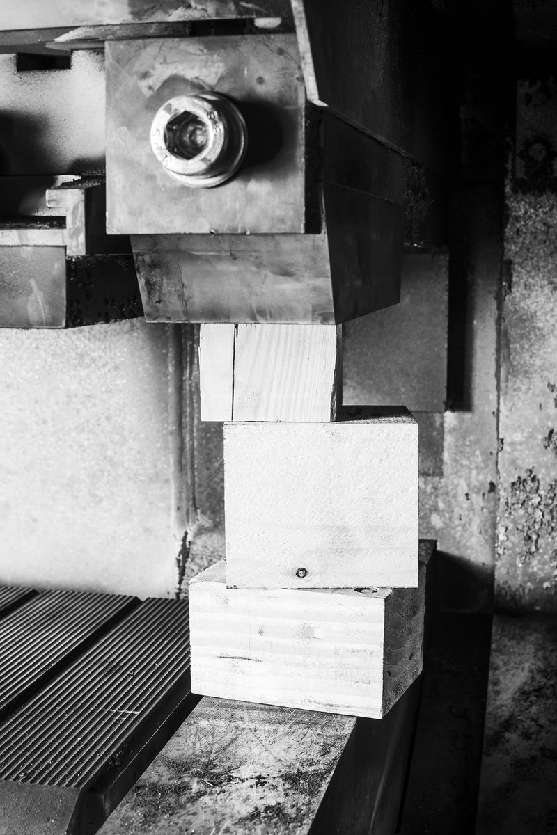 © Nicolino Sapio - Image from the SABOR photography project
