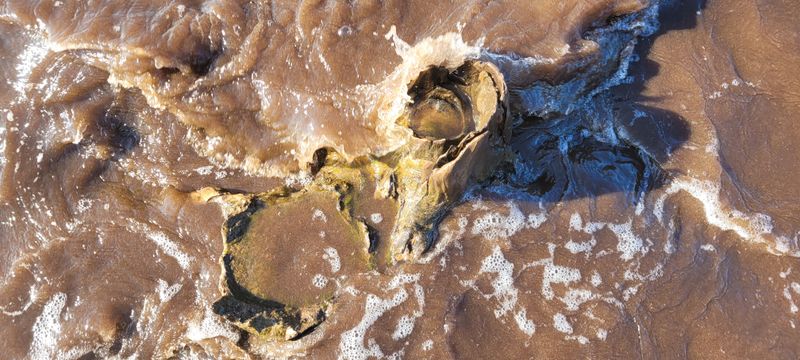 © Kellie Mattatall - Image from the The Trees are Drowning photography project