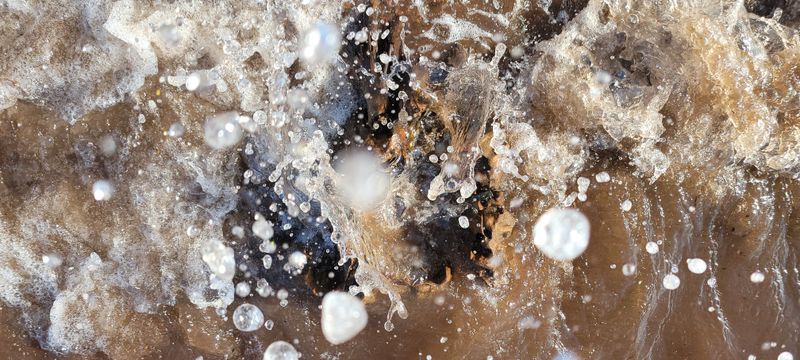 © Kellie Mattatall - Image from the The Trees are Drowning photography project