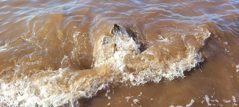 © Kellie Mattatall - Image from the The Trees are Drowning photography project