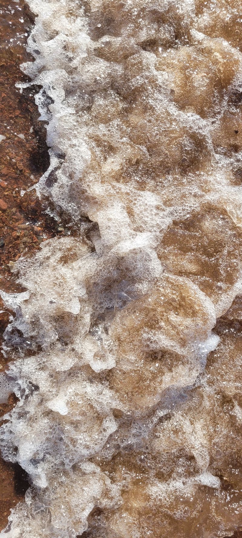 © Kellie Mattatall - Image from the The Trees are Drowning photography project