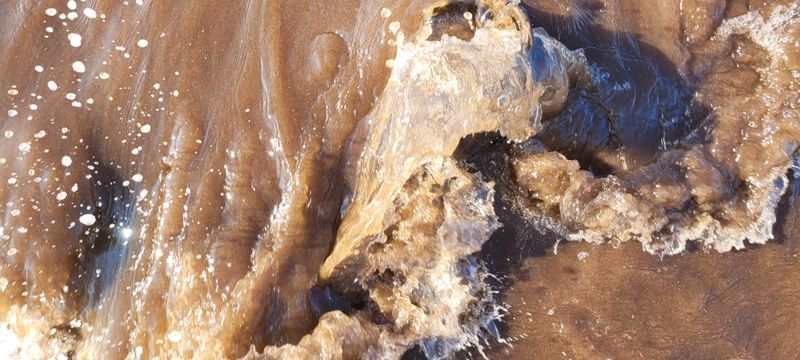 © Kellie Mattatall - Image from the The Trees are Drowning photography project