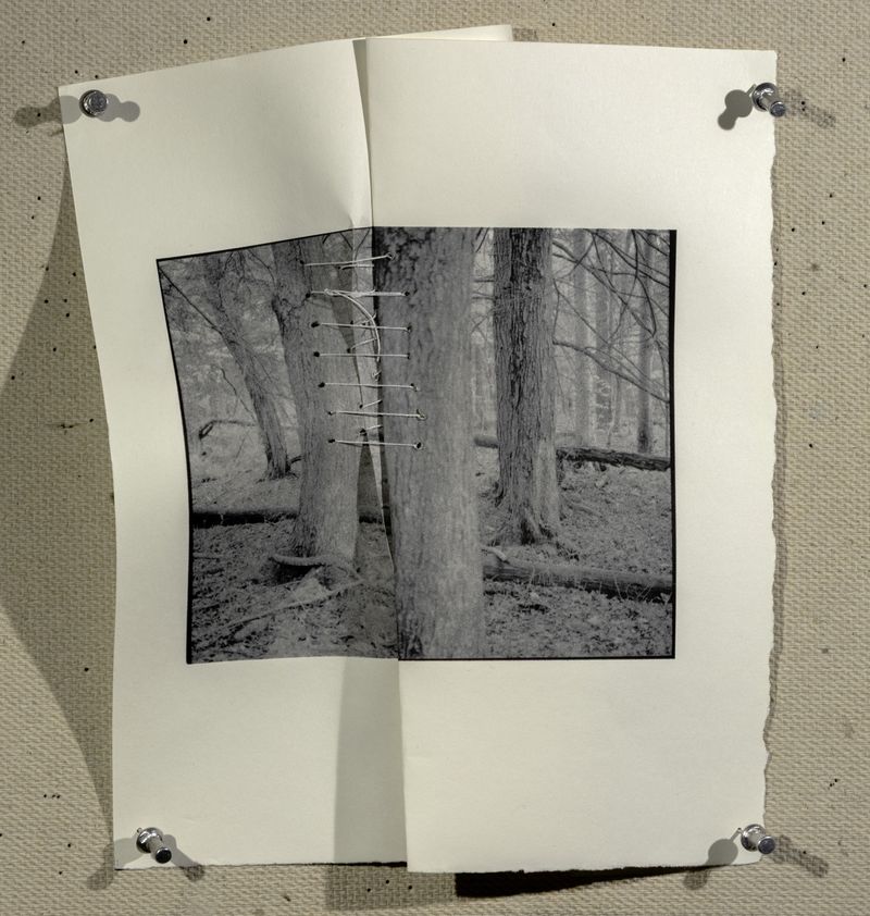 © Hai Zhang - Untitled from Monologue series, 9x11.5 inches