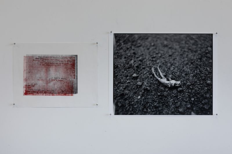 © Hai Zhang - Untitled from Monologue series, photograph and photogravure print
