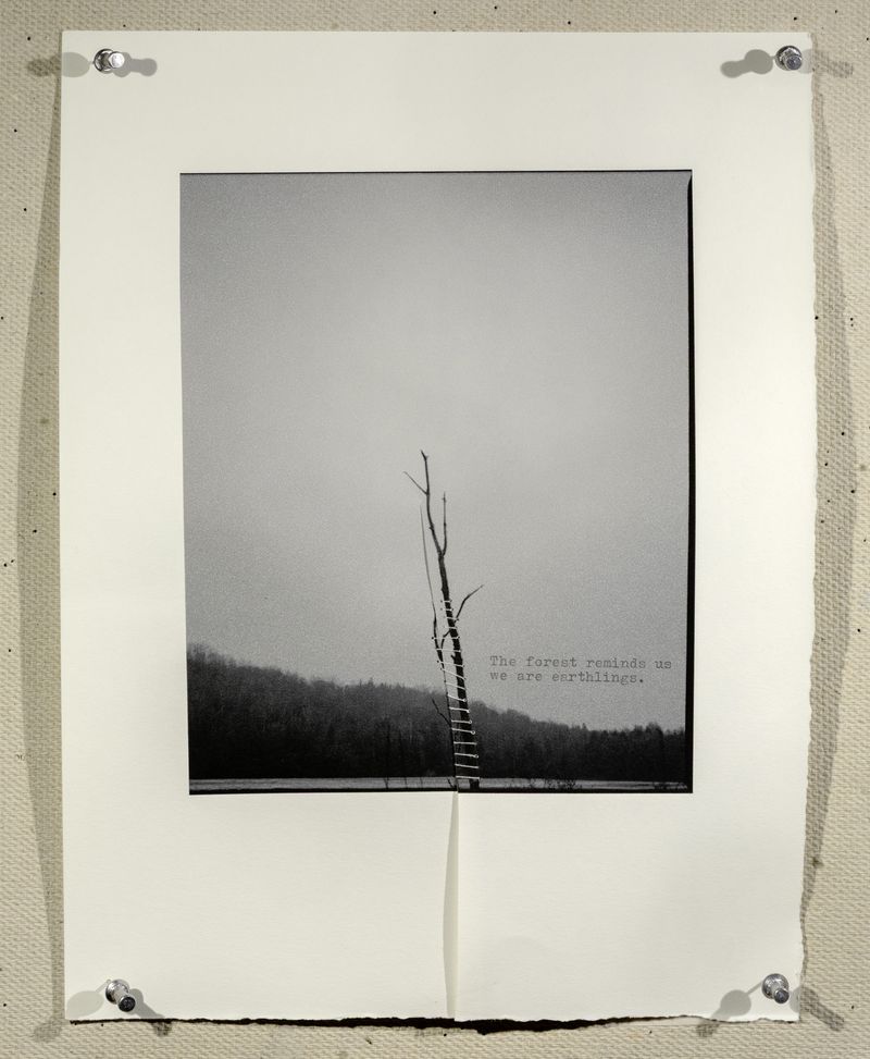 © Hai Zhang - Untitled from Monologue series, text from community member's submission,9x11.5 inches