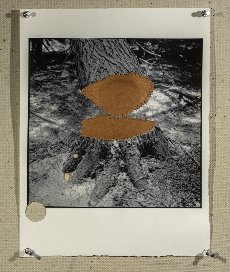 © Hai Zhang - Untitled from Monologue series, 9x11.5 inches