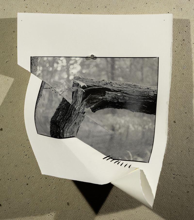 © Hai Zhang - Untitled from Monologue series, 9x11.5 inches