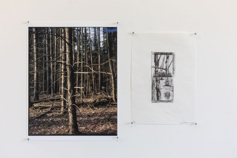 © Hai Zhang - Untitled from Monologue series, photograph and photogravure print