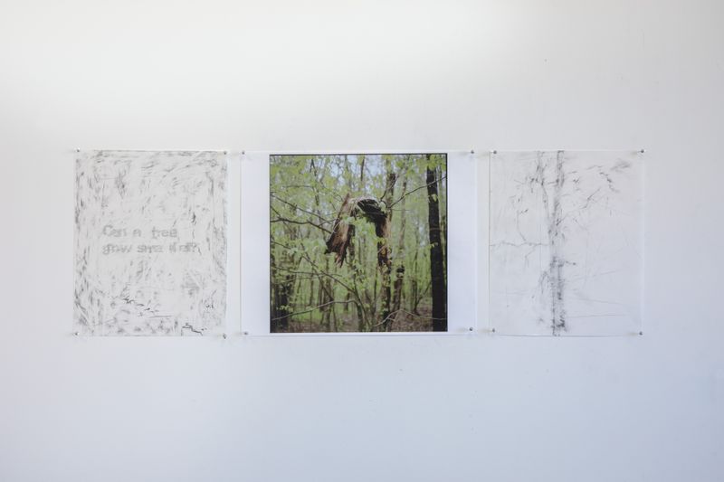 © Hai Zhang - Untitled from Monologue series, photograph and graphite drawings