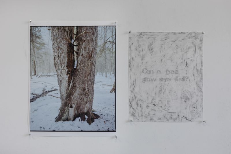 © Hai Zhang - Untitled from Monologue series, photograph and graphite drawing