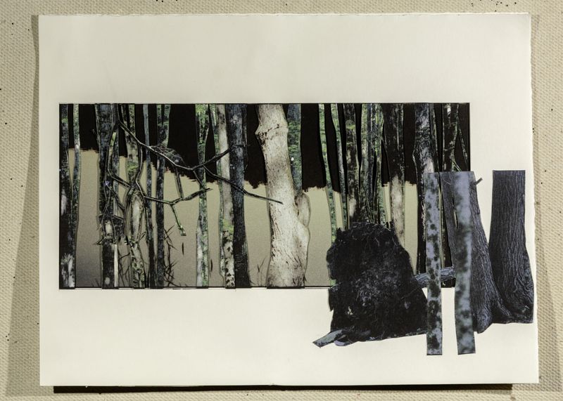 © Hai Zhang - Untitled from Monologue series, photo collage,9x11.5 inches