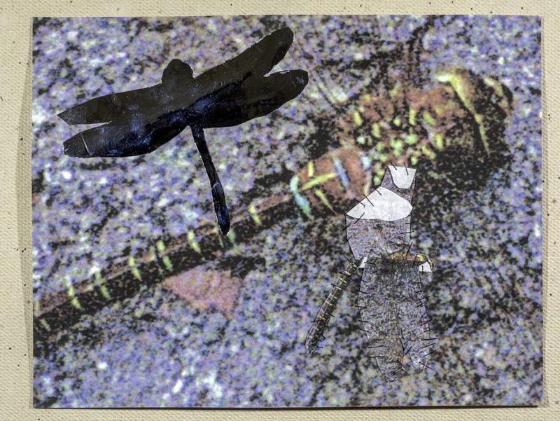 © Hai Zhang - Untitled from Monologue series, photo collage,9x11.5 inches