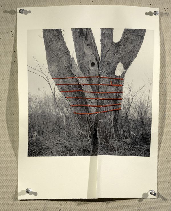 © Hai Zhang - Untitled from Monologue series,9x11.5 inches