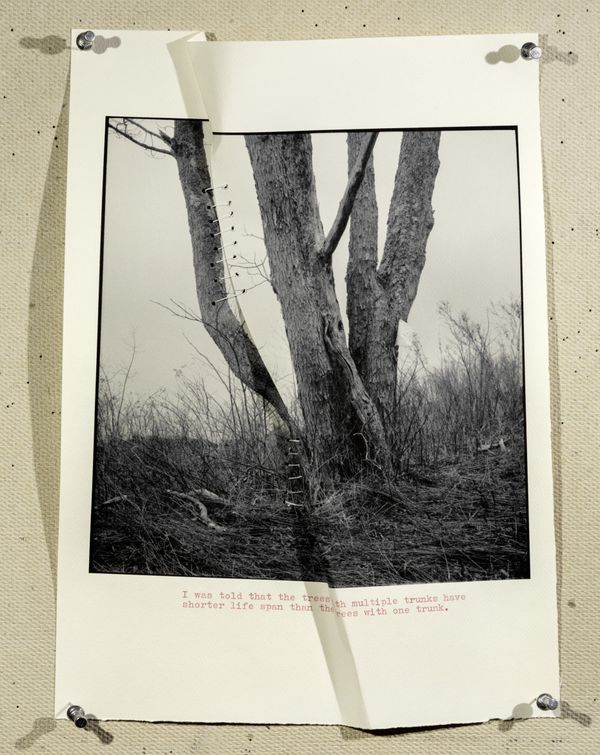 © Hai Zhang - Untitled from Monologue series, text from a volunteer forester, 9x11.5 inches