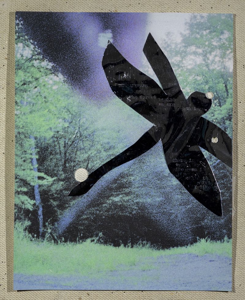 © Hai Zhang - Untitled from Monologue series, photo collage, text from community members' submissions, 9x11.5 inches