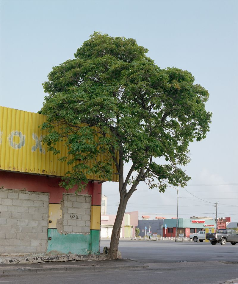 © Jhonathan Baena - Image from the Danki Dios ta Diabierna photography project