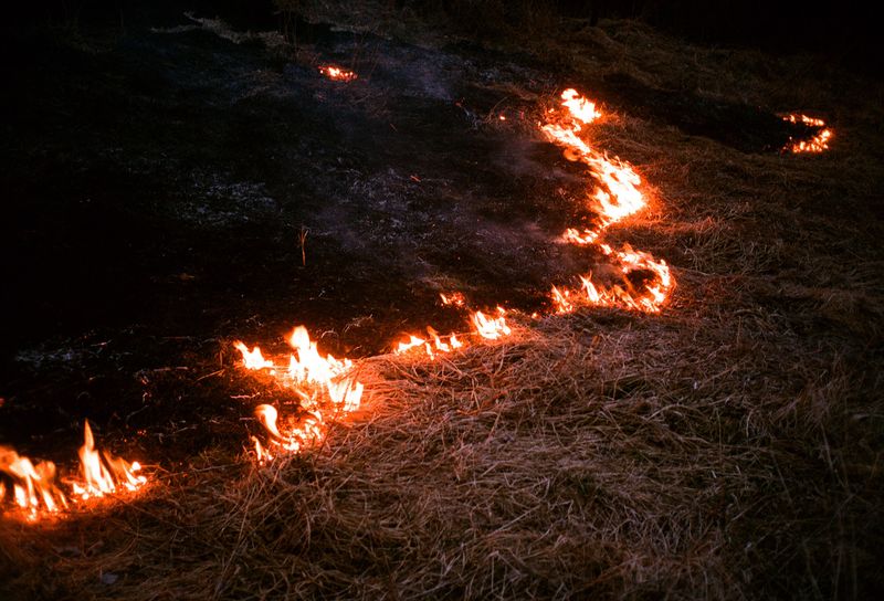 © Daria Nazarova - Image from the My boyfriend is an alien photography project