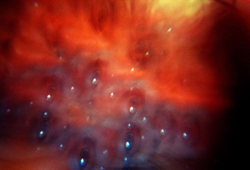 © Daria Nazarova - Image from the My boyfriend is an alien photography project