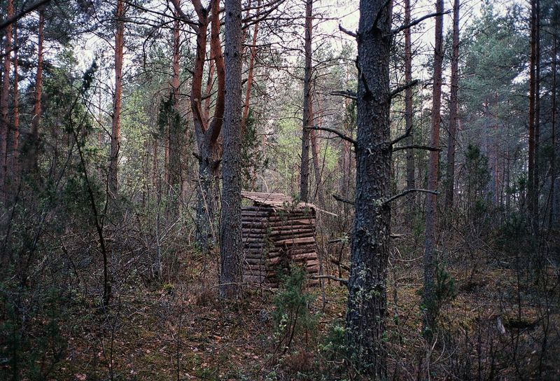 © Daria Nazarova - Image from the My boyfriend is an alien photography project