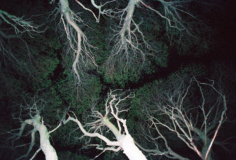 © Daria Nazarova - Image from the My boyfriend is an alien photography project