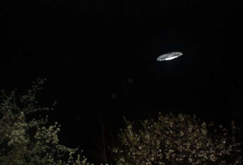 © Daria Nazarova - Image from the My boyfriend is an alien photography project