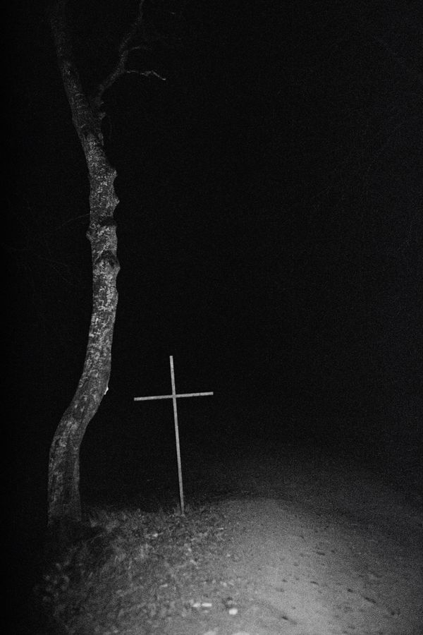 © Daria Nazarova - Image from the Natura photography project