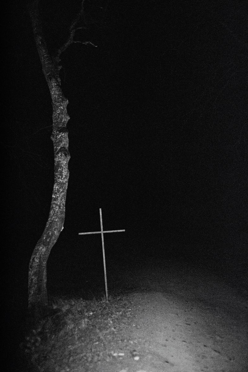 © Daria Nazarova - Image from the Natura photography project