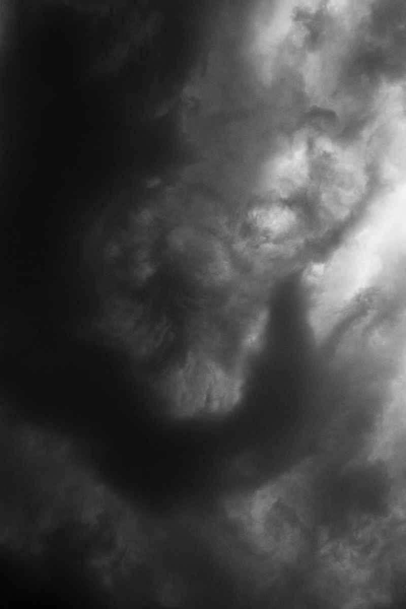 © Daria Nazarova - Image from the Natura photography project