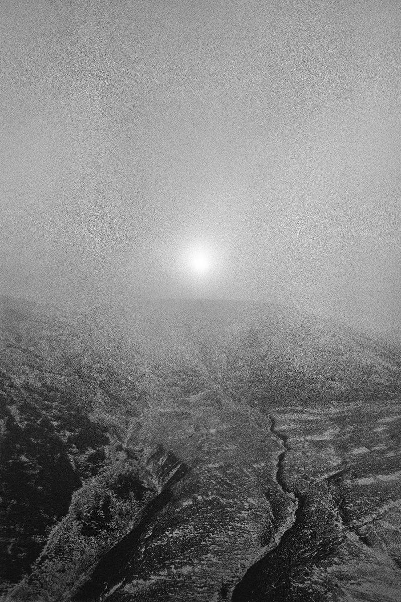 © Daria Nazarova - Image from the Natura photography project