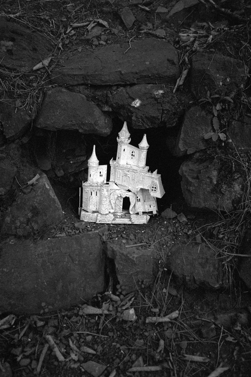 © Daria Nazarova - Image from the Natura photography project