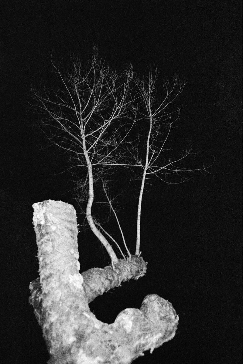 © Daria Nazarova - Image from the Natura photography project