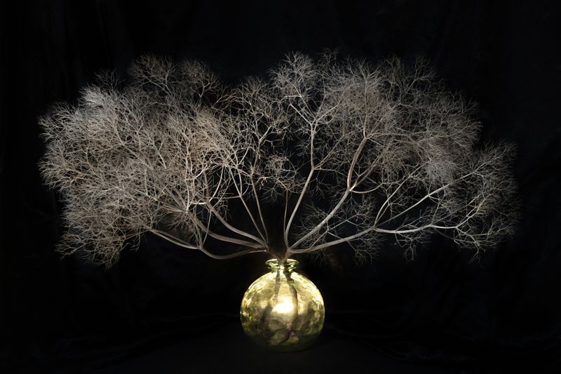 © Daria Nazarova - Image from the Embrace the void photography project