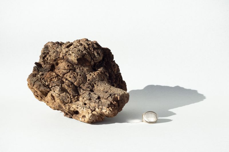 © Daria Nazarova - Image from the Embrace the void photography project