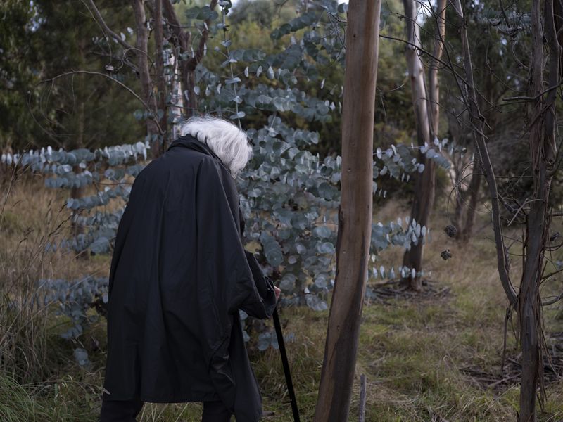 © Sarah Rhodes - Image from the A Surrounded Beauty photography project