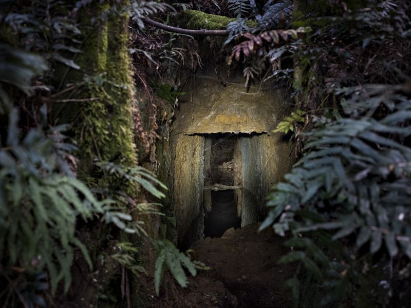 © Sarah Rhodes - Image from the A Surrounded Beauty photography project