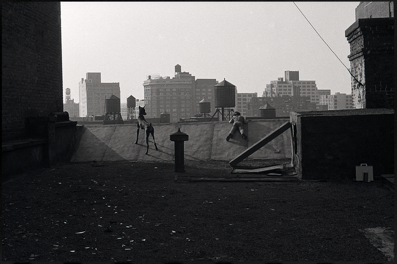 © Isabel Barton - Rooftop Skyline with Guillermo - Mercer St. Loft / 1974