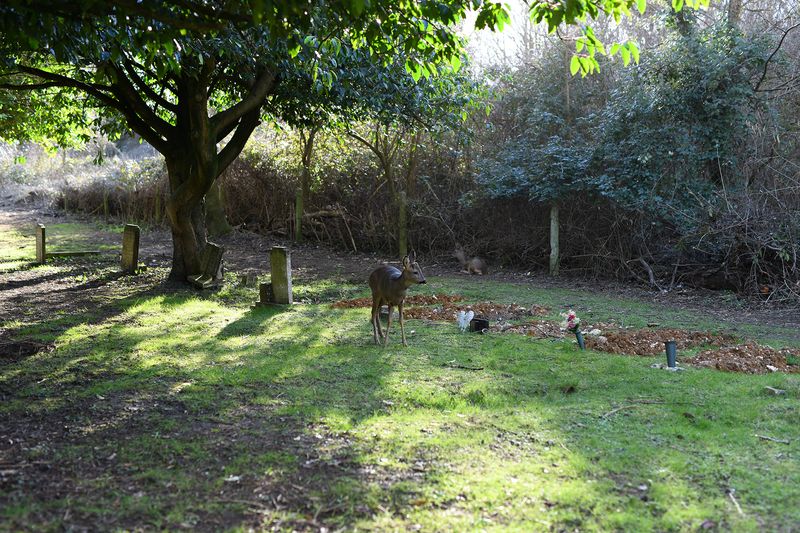 © Maria Short - 9th February 2022