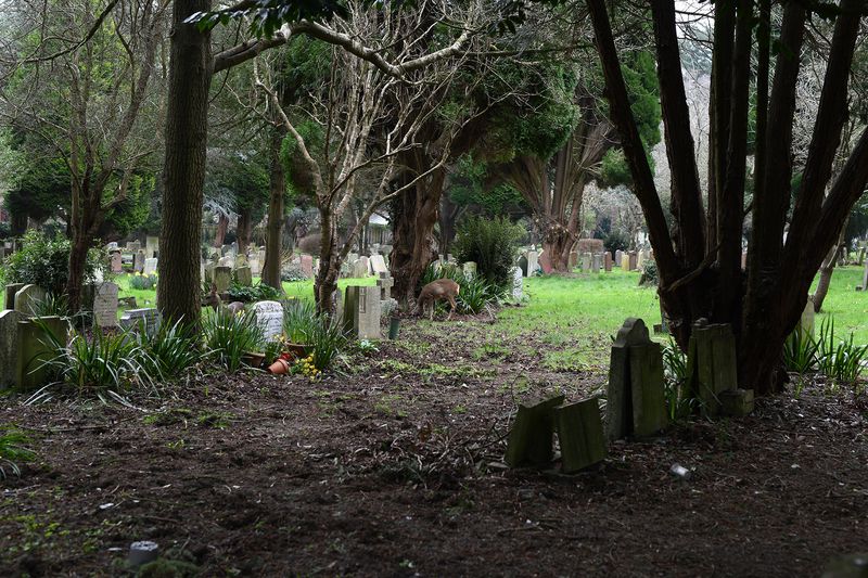 © Maria Short - 10th March 2022