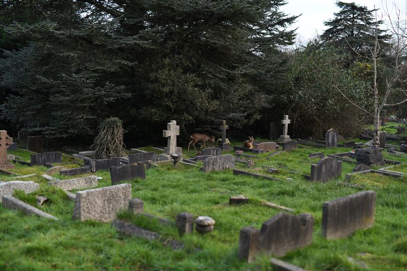 © Maria Short - 2nd January 2021