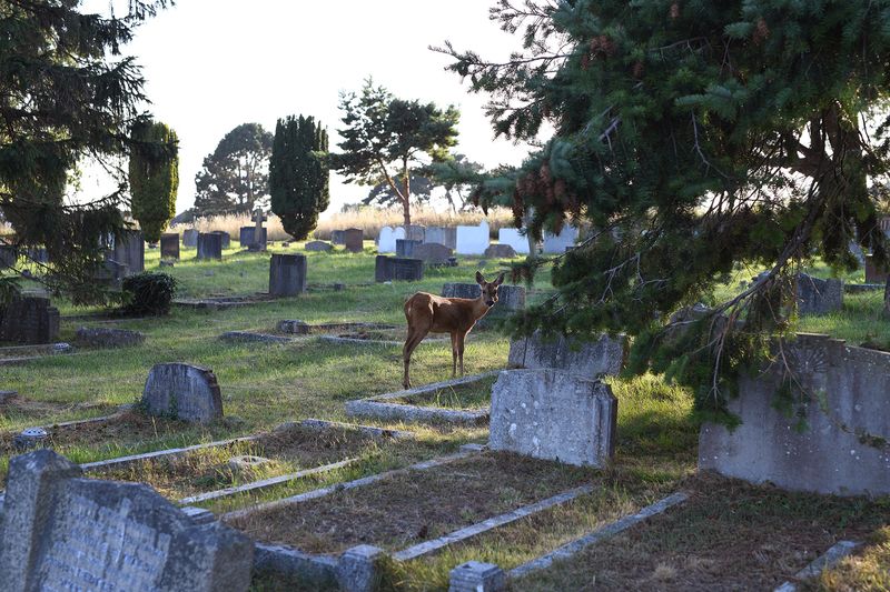 © Maria Short - 6th September 2021