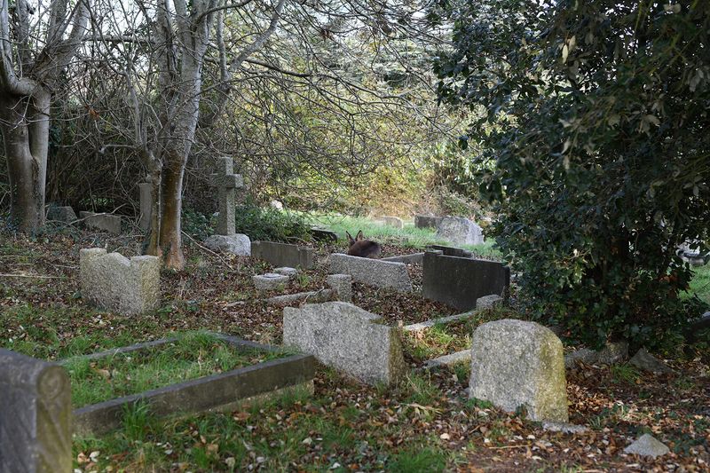 © Maria Short - 29th November 2021