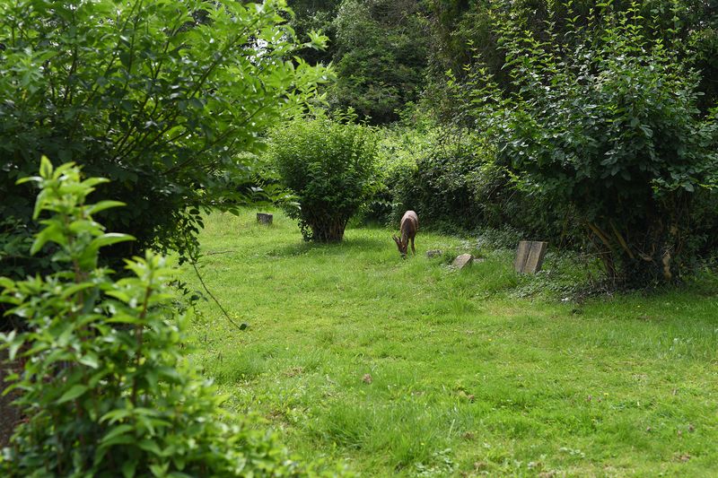 © Maria Short - 13th August 2021