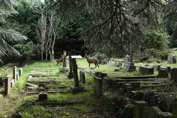 © Maria Short - Image from the Life at the Cemetery during the Anthropocene photography project