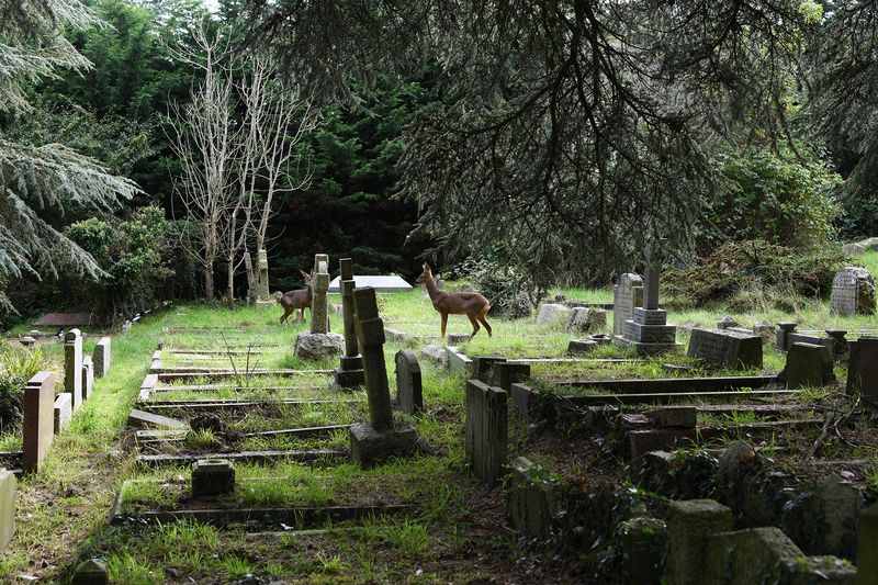 © Maria Short - Image from the Life at the Cemetery during the Anthropocene photography project