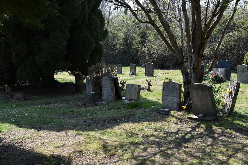 © Maria Short - Image from the Life at the Cemetery during the Anthropocene photography project