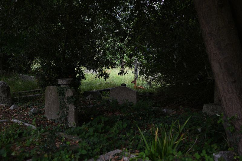© Maria Short - Image from the Life at the Cemetery during the Anthropocene photography project