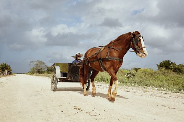 © Ephraim Bieri - Transportation is by horse and carriage, which run very silent, as the wheel axles are from old VW's from Mexico.
