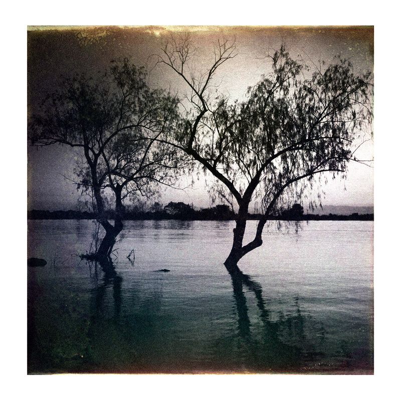 © Marcelo David Sandoval - The dark