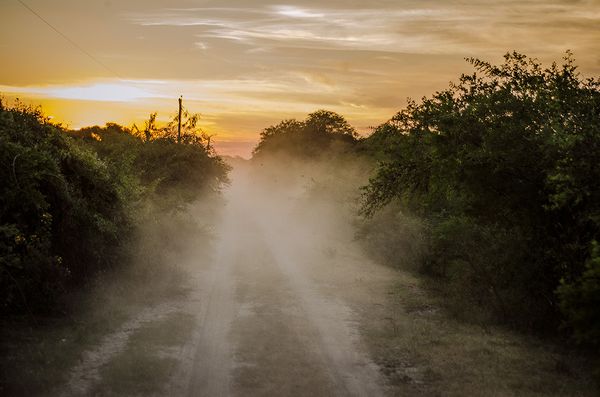 © Marcelo David Sandoval - Image from the The Invisible Ones -a strange documentary into the wetlands photography project